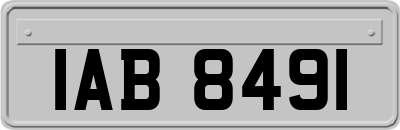 IAB8491