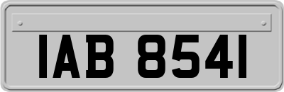 IAB8541