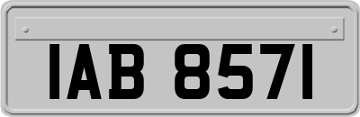 IAB8571