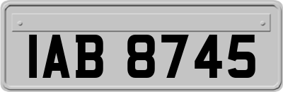IAB8745
