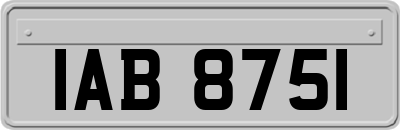 IAB8751