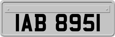 IAB8951