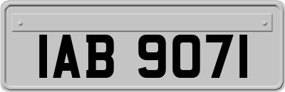 IAB9071