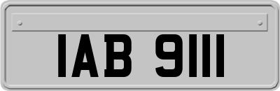 IAB9111