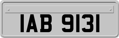 IAB9131