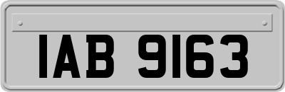 IAB9163