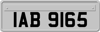 IAB9165