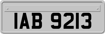 IAB9213