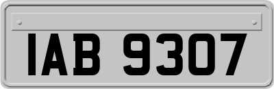 IAB9307
