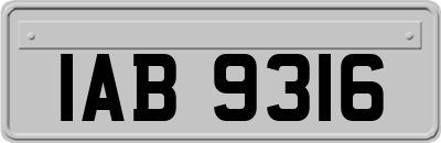 IAB9316