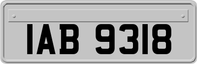 IAB9318