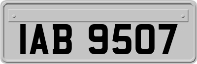 IAB9507