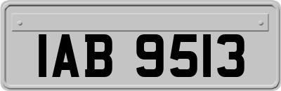 IAB9513