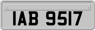 IAB9517