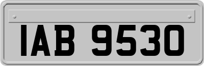 IAB9530