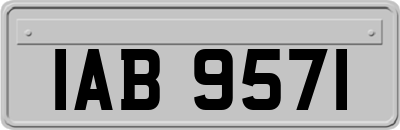 IAB9571