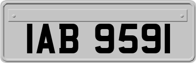 IAB9591