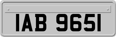 IAB9651