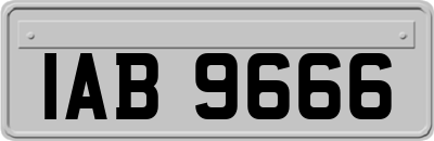 IAB9666