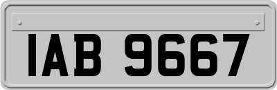 IAB9667