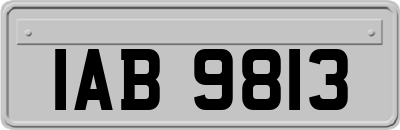 IAB9813