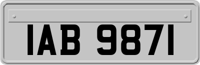 IAB9871