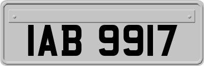 IAB9917