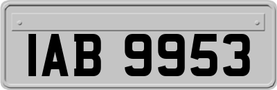 IAB9953