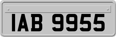 IAB9955