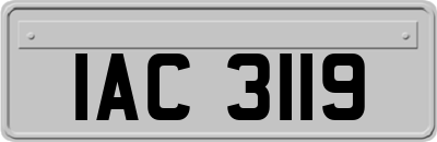 IAC3119