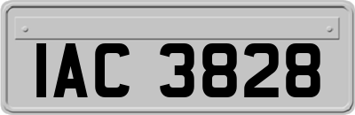 IAC3828