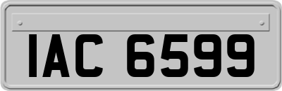 IAC6599