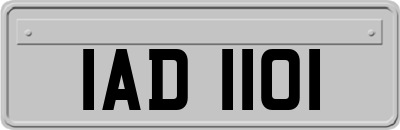 IAD1101