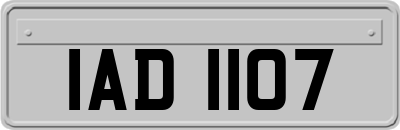 IAD1107