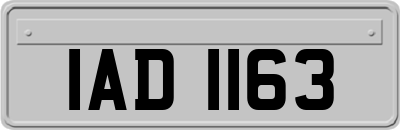 IAD1163
