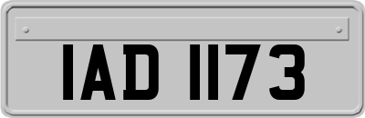 IAD1173