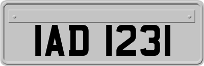 IAD1231