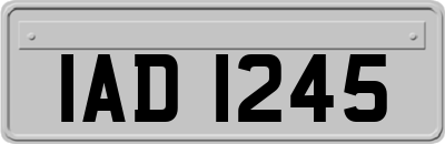 IAD1245