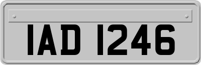 IAD1246