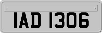 IAD1306