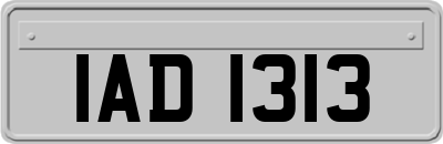 IAD1313