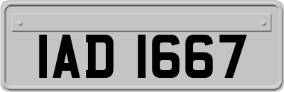 IAD1667