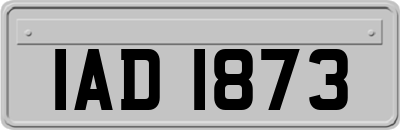 IAD1873