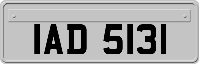 IAD5131