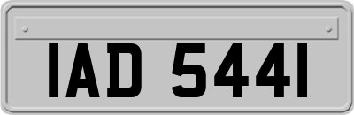 IAD5441