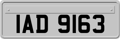 IAD9163