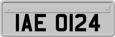 IAE0124