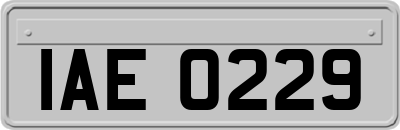 IAE0229