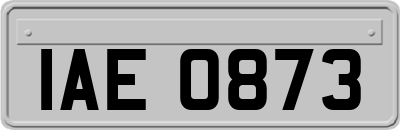 IAE0873