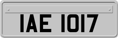 IAE1017